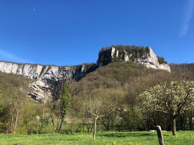 Gite De La Cascade Les Planches-pres-Arbois Екстериор снимка